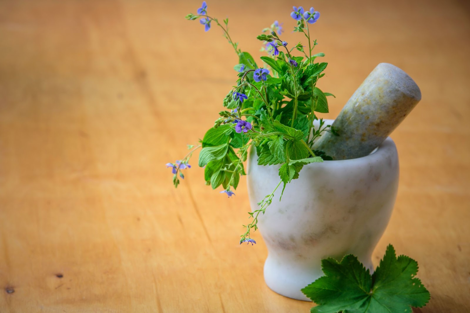 Herbal medicine inside the pot